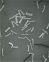 ACLON-FIBER-50X